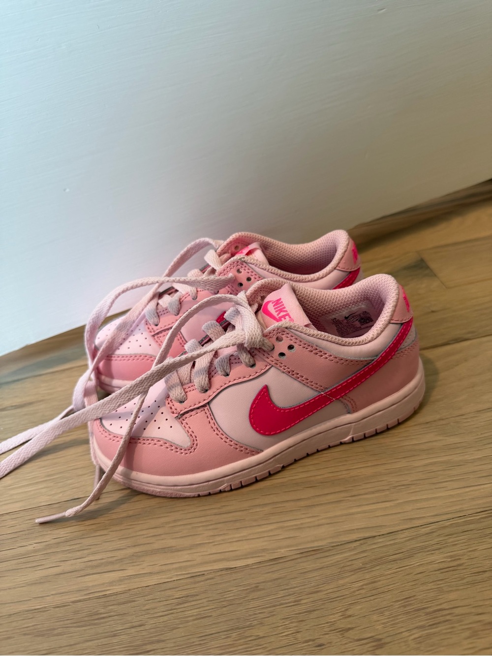 Nike dunks size 11 NEW